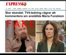 Fake Andersbagge article